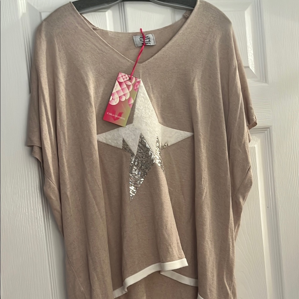 Brown Sequin Oversized Dolman Sleeve Top